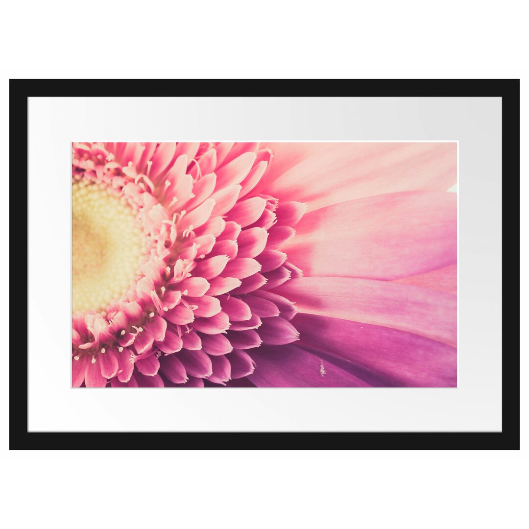 Gerahmtes Poster Wunderschöne Gerbera Blüte