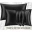 Satin Silk Pillow Cases Pack of 2 Super Soft Smooth Pillow Covers Breathable Hypoallergenic Envelope Closure-1637978131