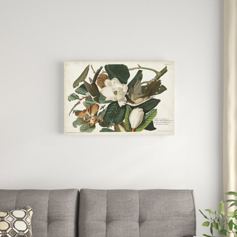 «Pl 32» par John James Audubon, impression couché sur toile tendue, H 20 po x l 30 po