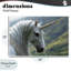 Plaque murale Celtic Unicorn-853182377