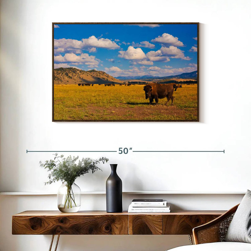 Bison In National Park, 37" X 25", Floating Frame Walnut