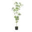 ARBRE À PIERIS 120CMTIFTIFS-727059637
