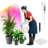 Latitude Run Grow Light-2070208924