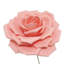 Grande tige rose en mousse-132110116-132110124