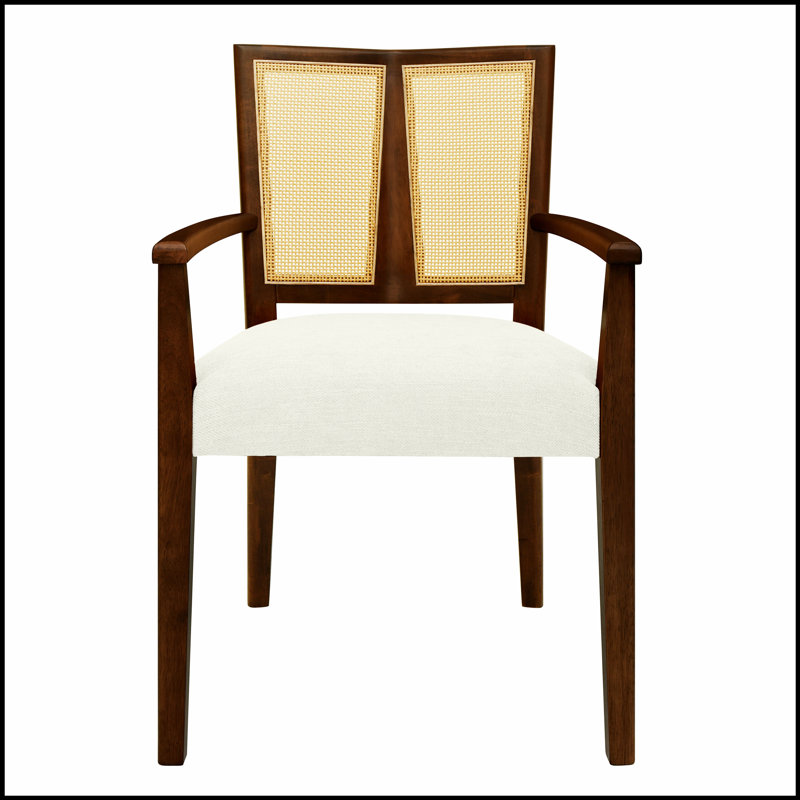 Ensemble de 2 chaises de salle à manger élégantes en rotin avec accoudoirs à dossier, confortables et durables pour les intérieurs modernes
