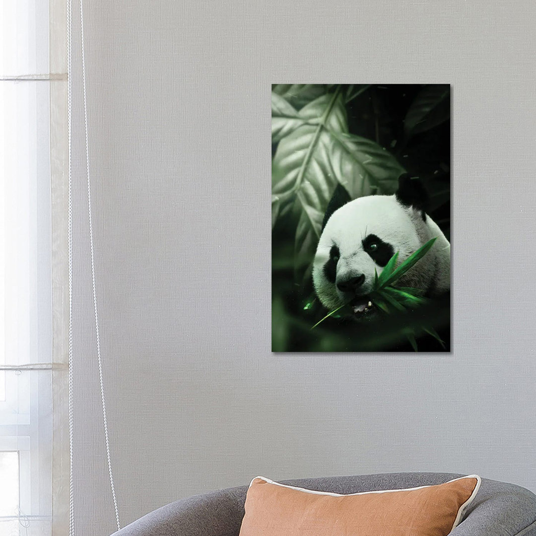 Panda by Milos Karanovic - Wrapped Canvas Print