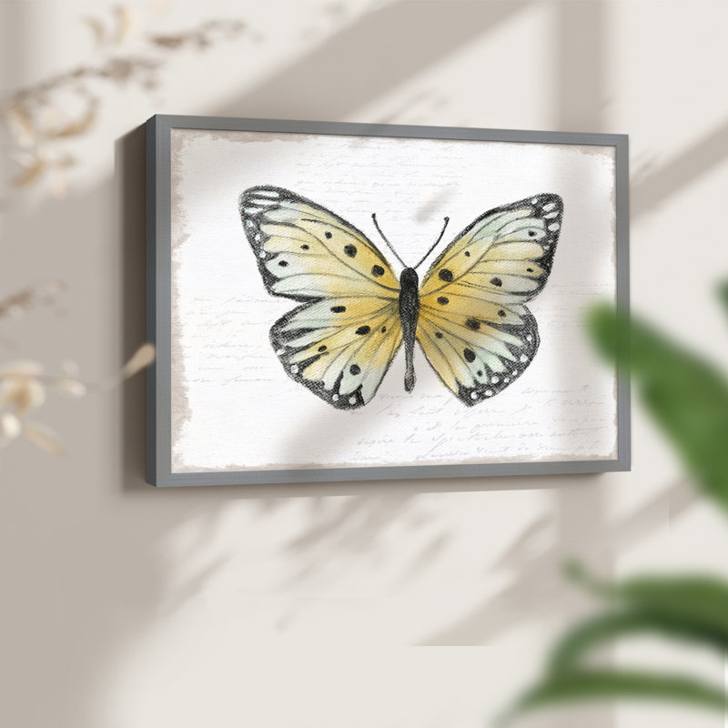 Vintage Flutter I -Framed Print - Restickable, H 16 po x l 20 po, Gris