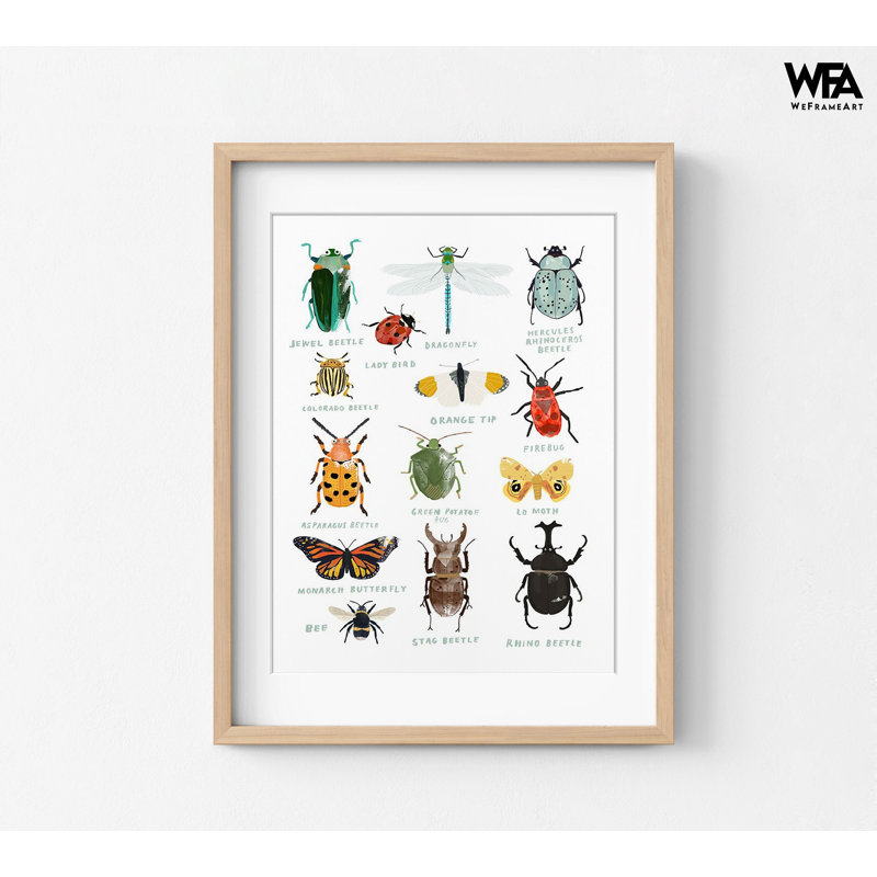 «Bugs» par Hanna Melin, décor de bureau d'entomologiste, affiche de coccinelle, affiche de chambre d'enfant mignonne, affiche de libellule
