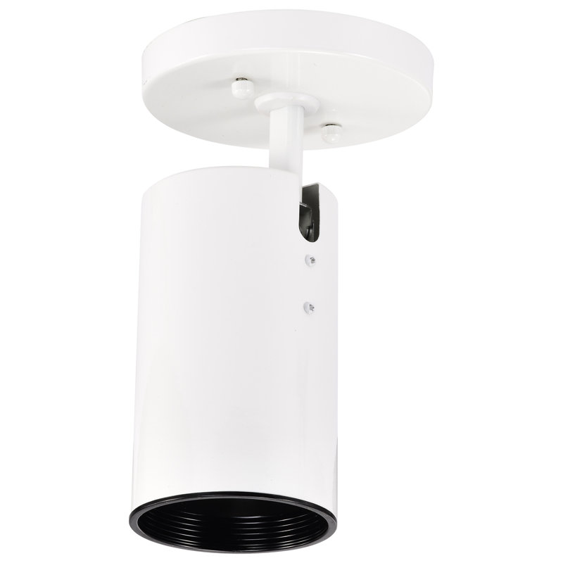 Barreto 1 Light - R20 - Straight Cylinder Flush Mount