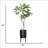 84'' Faux Fiddle Tree Tree in Pot