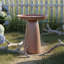 Bain pour oiseaux d'extérieur en métal Gleeful Garden-385468562