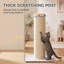 75.5 cm H Cat Scratchers