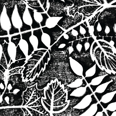 Lots Of Leaves - Wrapped Canvas Print