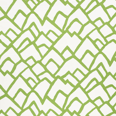 Zimba Fabric