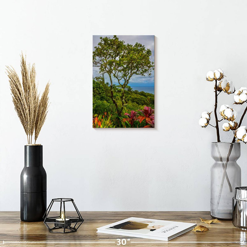 Harnek, Hawaï, arbres tropicaux, H 12 po x l 8 po