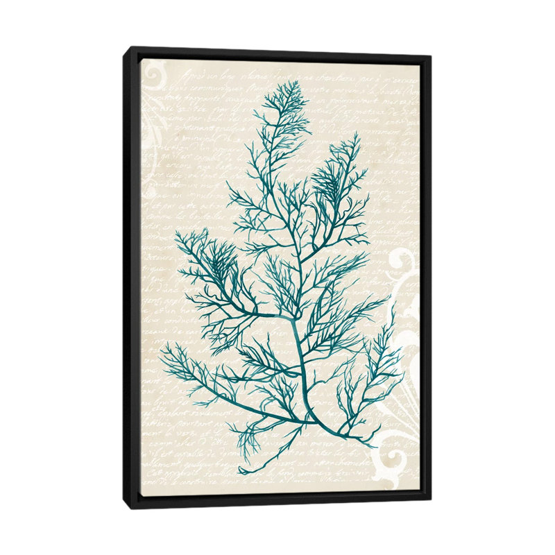 «Teal Seaweed I», impression sur toile, H 26 po x l 18 po x P 1,5 po, Toile avec cadre flottant noir, Pas de tapis