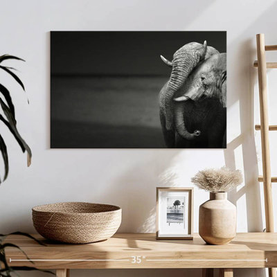 Elephants Love
