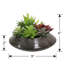 Plante grasse artificielle 6 po en pot-1427881821