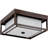 Wasson Glass Flush Mount