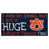 Auburn University