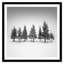 Impression d'épinette par Daniel-1732155713-1732155733-1732155766