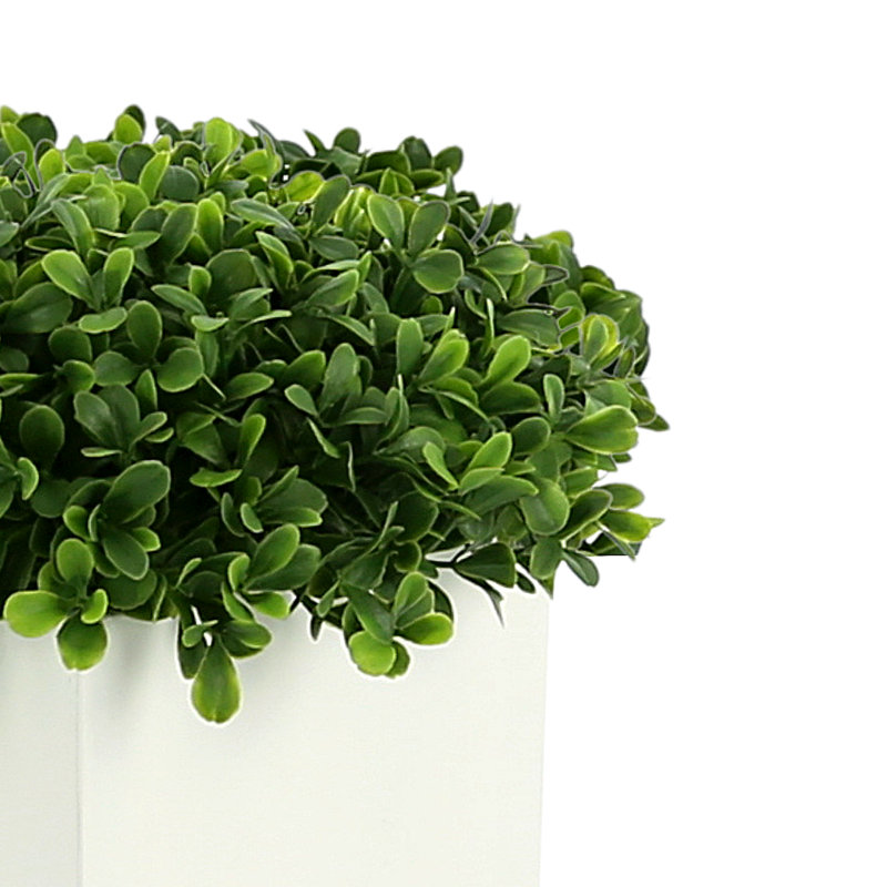 Buis artificiel en pot 3 po Roanoke