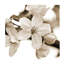 Thinking Of Early Spring VI Print by Sofia Fox-26772265-26772260