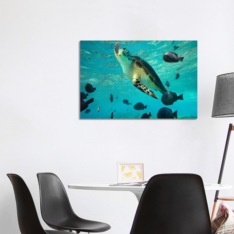 Green Sea Turtle, Balicasag Island, Philippines III by Tim Fitzharris - Wrapped Canvas Print
