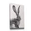«Wild Hare II», reproduction d'art sur toile tendue-1364954824