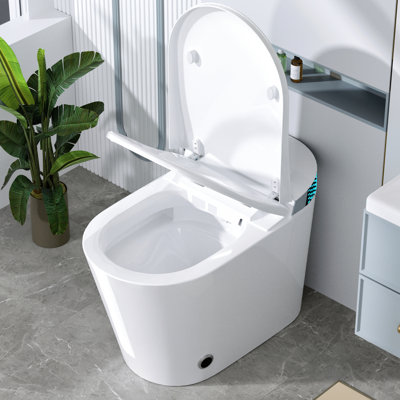 Toilette bidet, contrôle du pied coup de pied, siège chauffant, eau chaude instantanée, affichage à DEL, commande à distance, hauteur de la chaise, coup franc brut de 12 po, couvercle à ouverture / fermeture automatique, séchage à l'air, chasse d'eau pour panne de courant