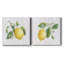 Lemon Fresh I - ensemble de 2 peintures sur toile tendue-1032716318