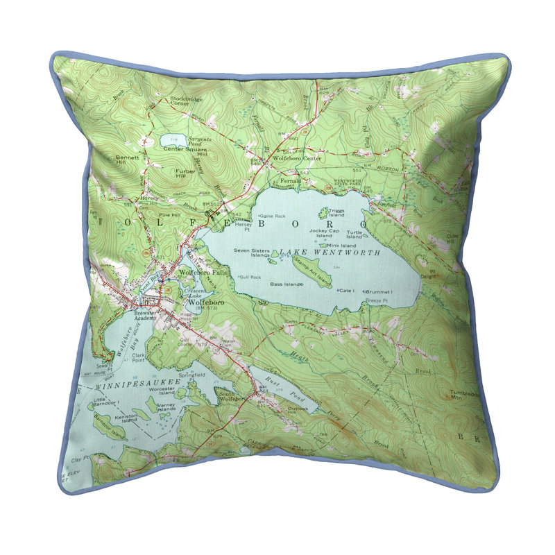 Housse et insert de coussin extérieur d'extérieur, 12 po x 12 po