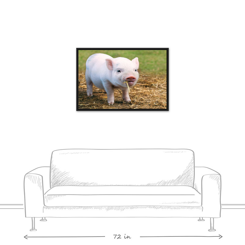 «Little Piglet», toile flottante encadrée, H 13,75 po x l 37,75 po