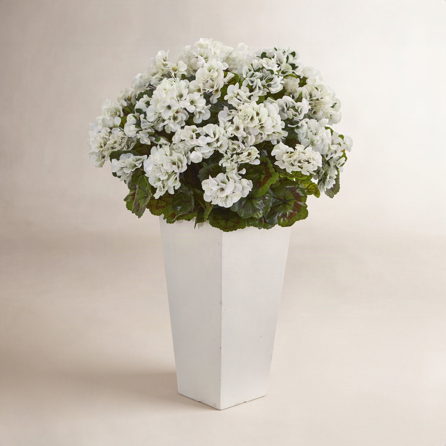 UV Resistant Geranium Floral Arrangement, White