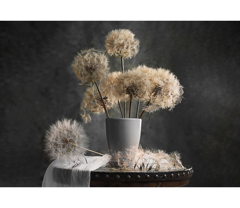 Wrapped Canvas Print, 81.28 cm H x 121.92 cm W