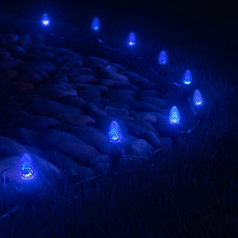 Luminary & Pathway Lights, 50 feet