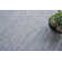 Loro Rug