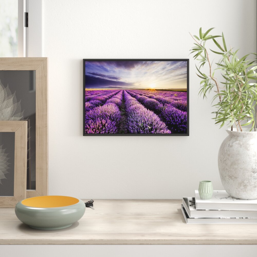 Gerahmtes Wandbild Traumhafte Lavendel Provence