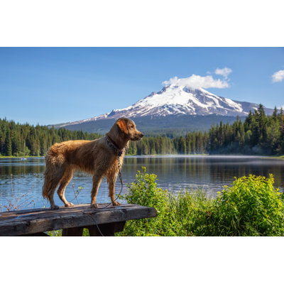 Trillium Lake by Edb3_16 - Wrapped Canvas Print