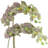 Orchid Arrangement in Pot-516251516