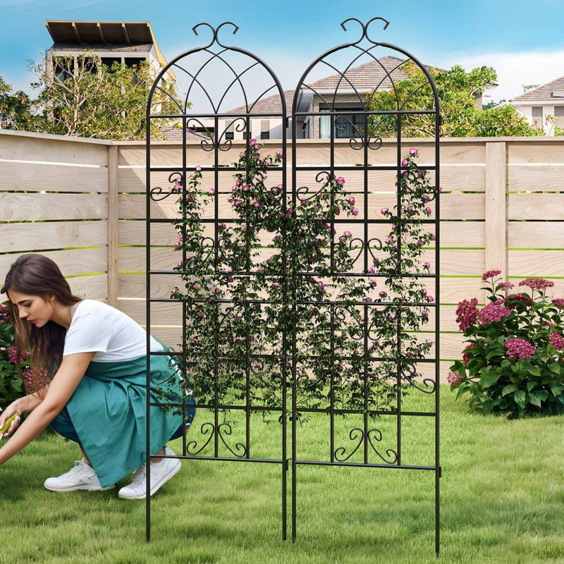 Paquet de 2, treillis de jardin en métal enduit de métal noir 71 po x 20 po, motif papillon antirouille pour plantes grimpantes d'extérieur Roses, légumes, vignes, concombres