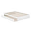 Lit plateforme en bois massif avec lit gigogne assorti Lamariah-457229956-457229967
