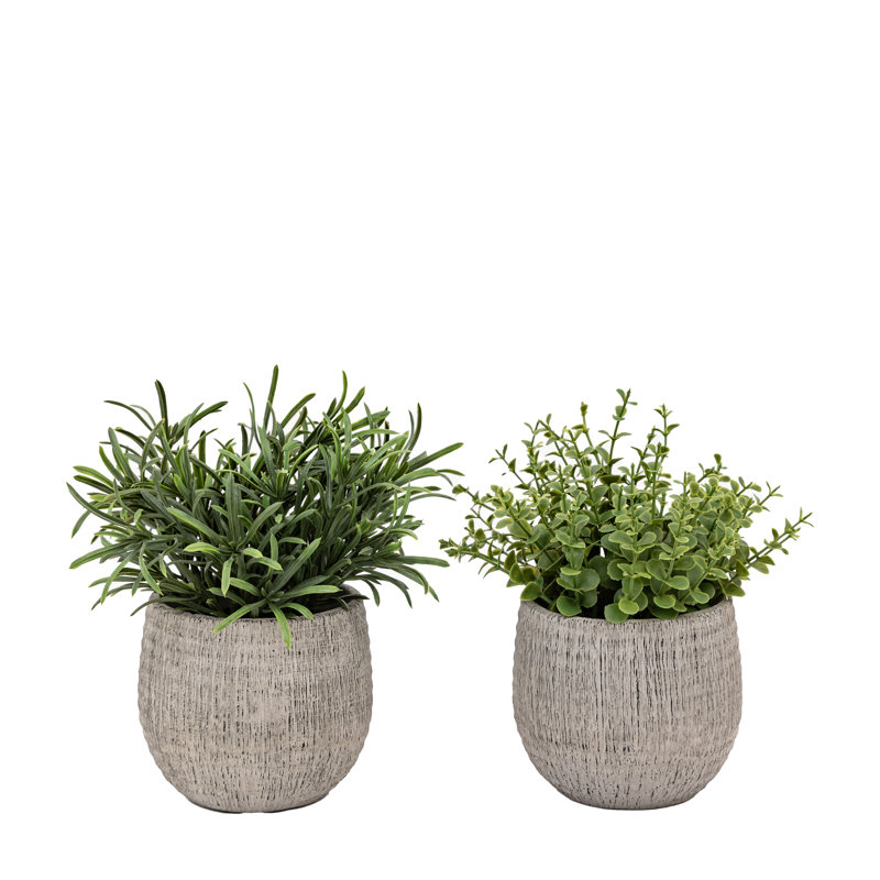 Potted Plant Ceramic Scratch Pot Rosemary