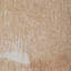 Amethy Recycled P.E.T Area Rug-1735948926