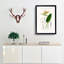 Bird Of Paradise Flower by Charles D' Orbigny - Single Picture Frame Painting-55457081-55457083