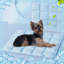 Tapis antidérapant antidérapant pour chien