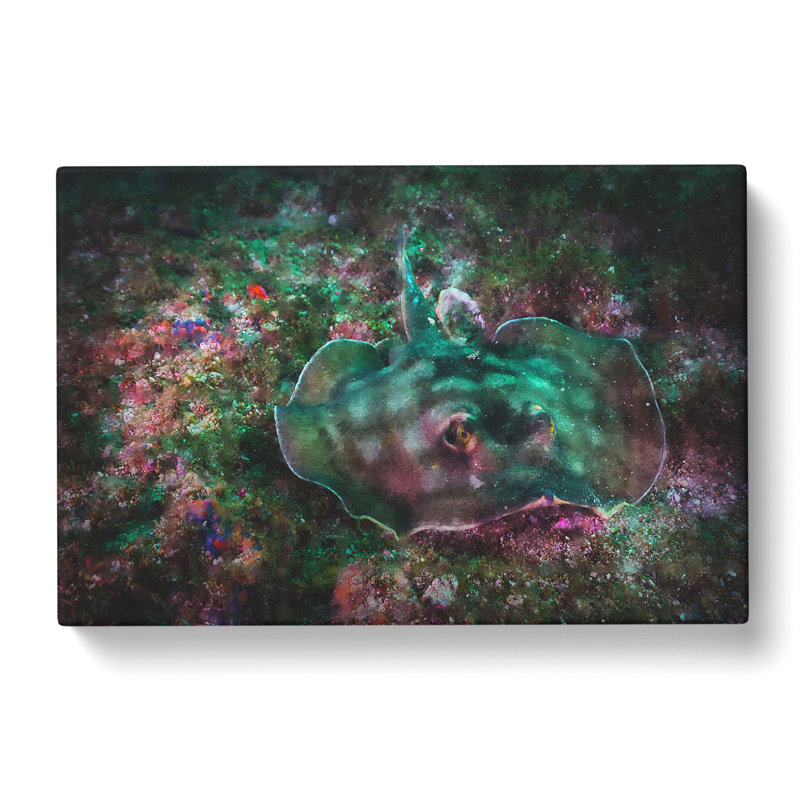 Sting Ray - Wrapped Canvas, 50cm H x 76cm W x 3cm D