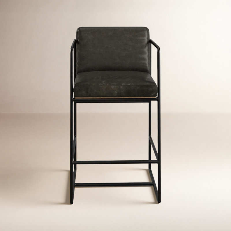 Sidney Genuine Leather Bar & Counter Stool, Dark Gray