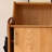 Modern simple storage shoe cabinet