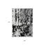 Tapis extérieur lavable abstrait noir et ivoire 3 pi x 5 pi